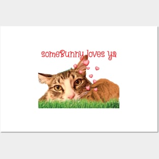 Some Bunny loves you Maine Coon cat Posters and Art